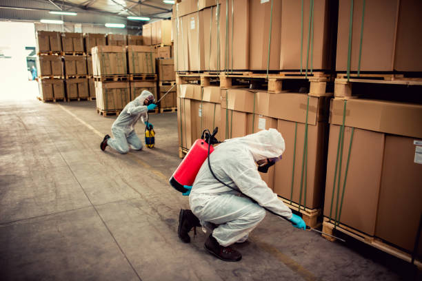 Best Mosquito Control Services  in Monterey, TN