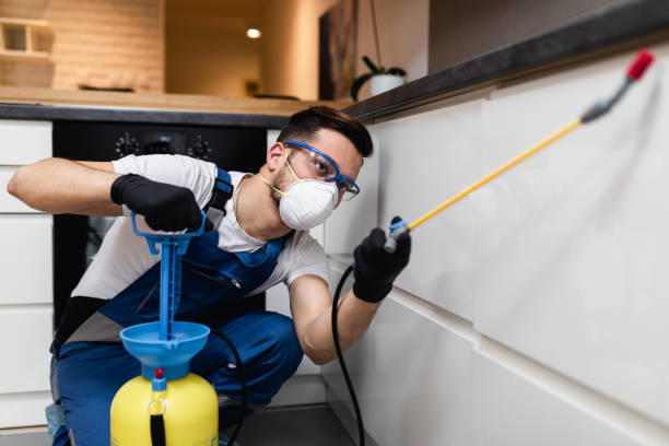 Flea Control Services in Monterey, TN