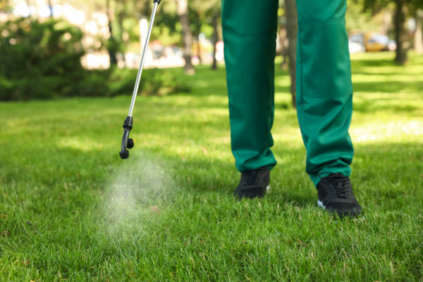 Best Rat Extermination Near Me  in Monterey, TN