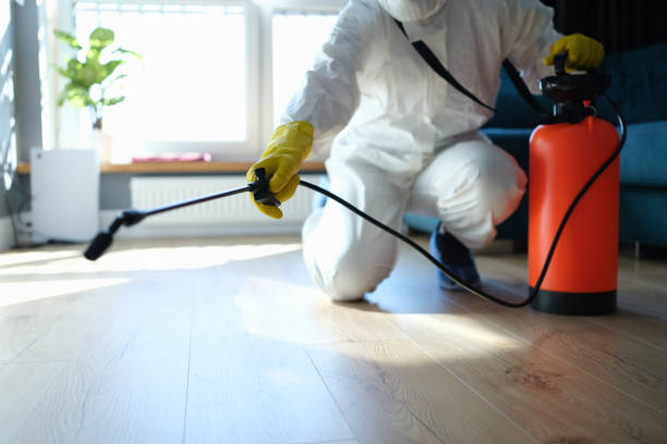Wasp Removal Services in Monterey, TN