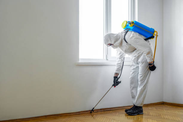 Best Affordable Pest Control Services  in Monterey, TN