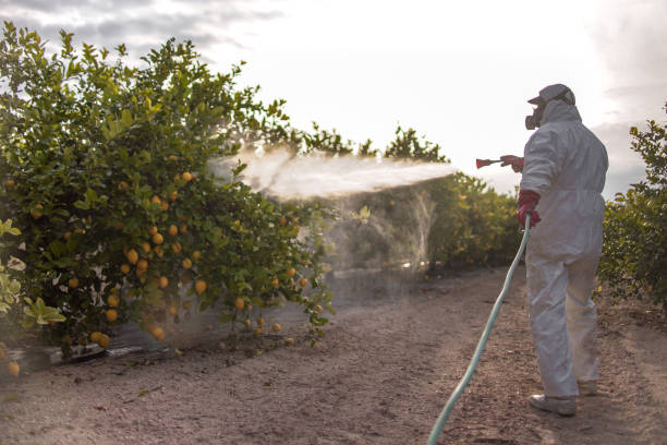  Monterey, TN Pest Control Pros