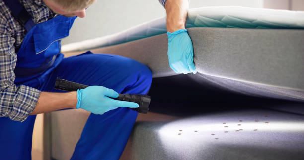 Best Affordable Pest Control Services  in Monterey, TN