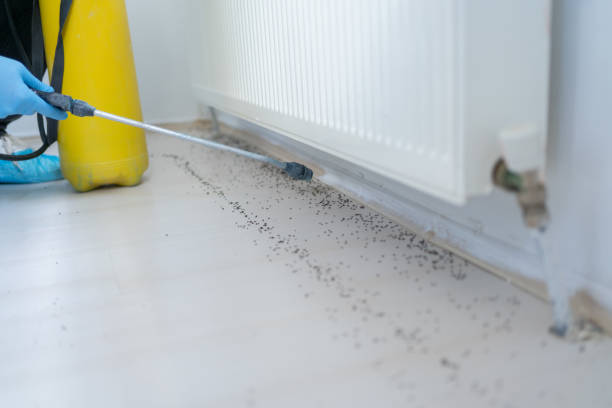Best Pest Removal Services  in Monterey, TN